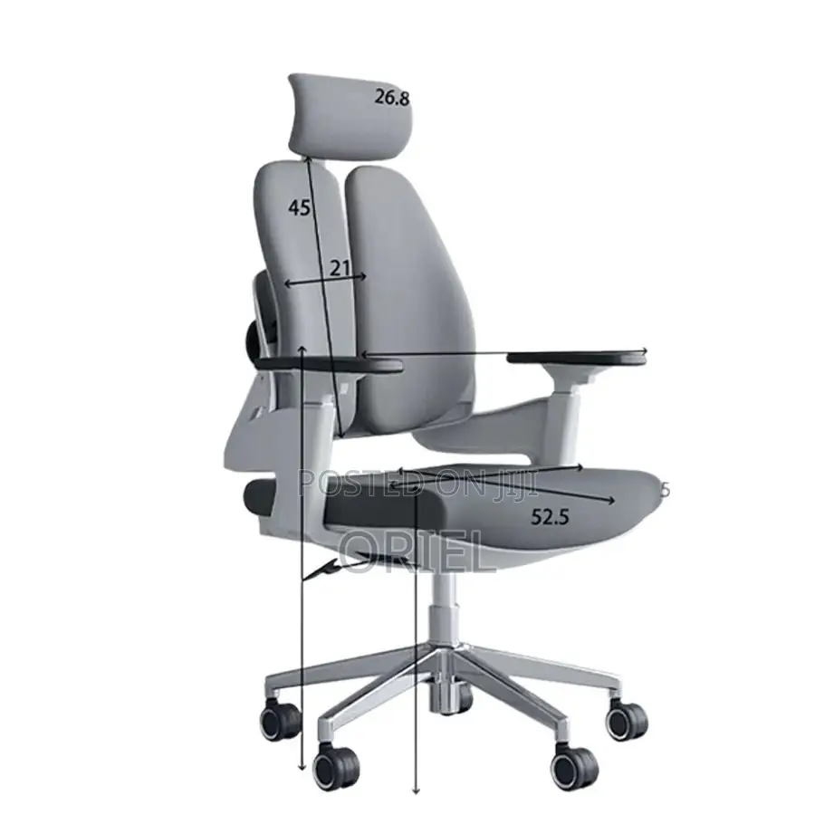 Office Orthopedic Chair : Dual Backrests E Adjustable Office Chair