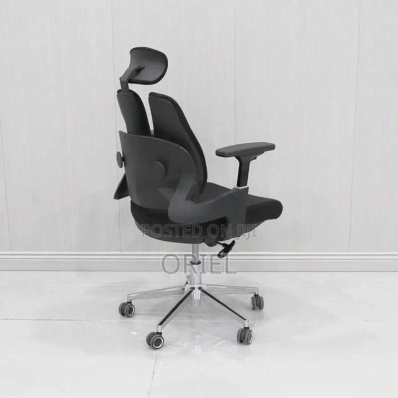 Office Orthopedic Chair : Dual Backrests E Adjustable Office Chair