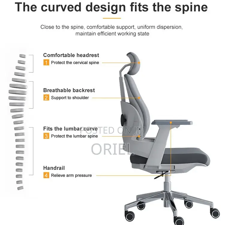 Office Orthopedic Chair : Dual Backrests E Adjustable Office Chair