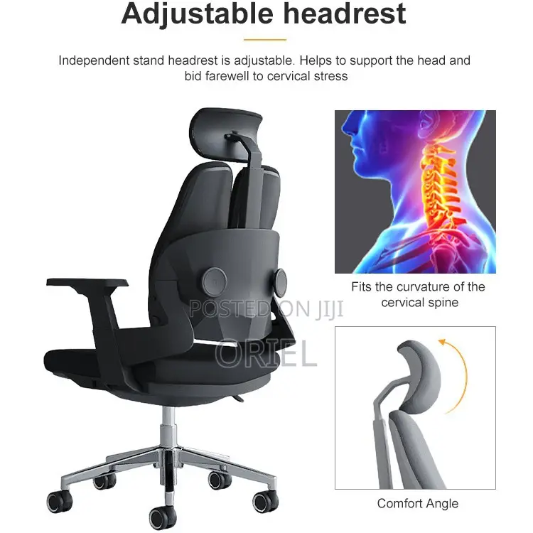 Office Orthopedic Chair : Dual Backrests E Adjustable Office Chair