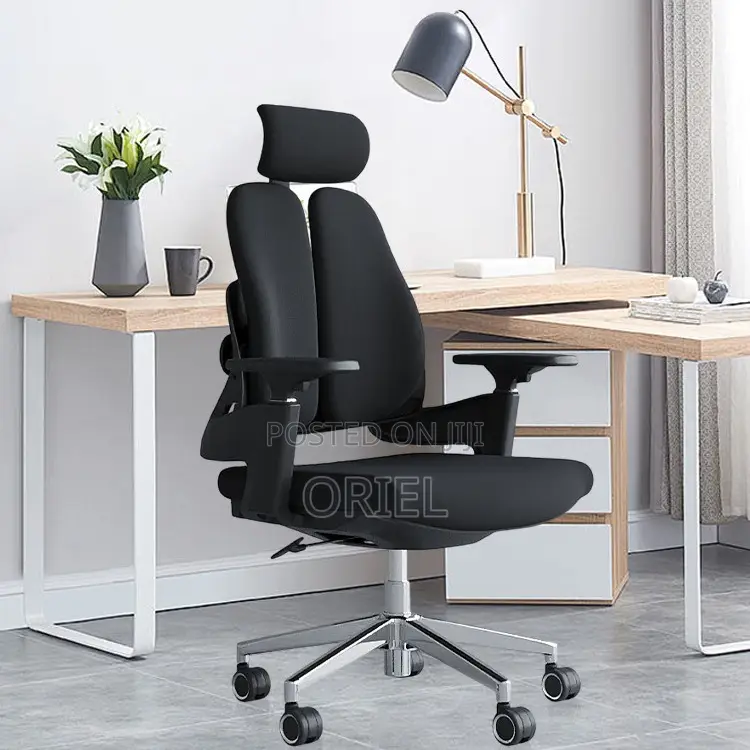 Office Orthopedic Chair : Dual Backrests E Adjustable Office Chair