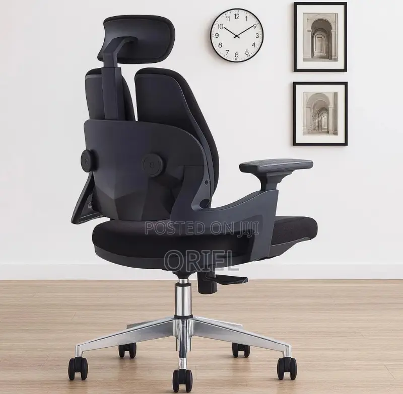 Office Orthopedic Chair : Dual Backrests E Adjustable Office Chair