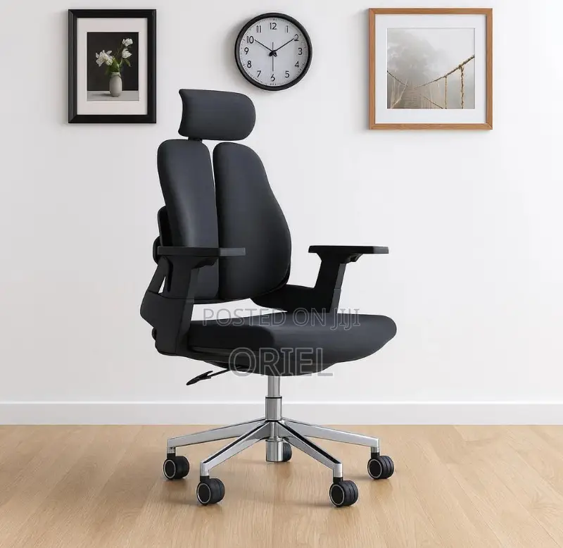 Office Orthopedic Chair : Dual Backrests E Adjustable Office Chair
