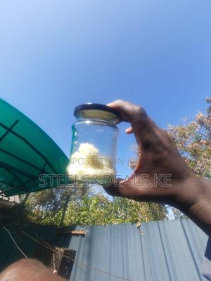 Keffir Grains - main view