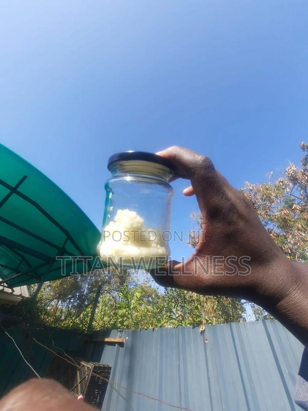 Keffir Grains