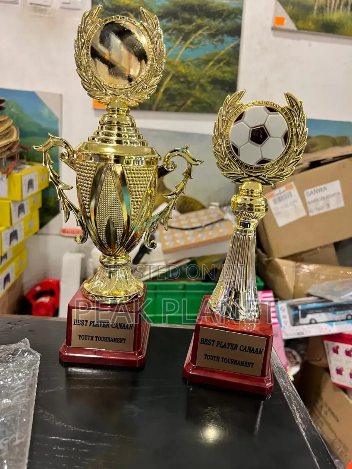 Sports Award Trophies for Schools Events
