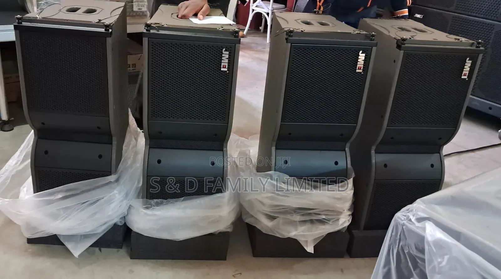 TSG 10 Inch Double Line Array Passive Speakers
