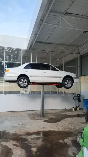 Heavy Duty Single Post Carlift Machine X-Type Sunshine Italy