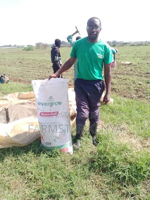 Evergrow Korn Kali Organic Fertilizer