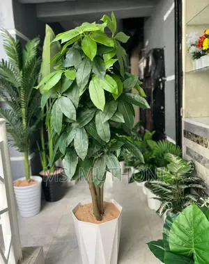 180 Cm Artificial Mango Plant With Decorative Plastic Vase Pebbles