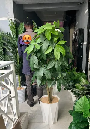 180 Cm Artificial Mango Plant With Decorative Plastic Vase Pebbles