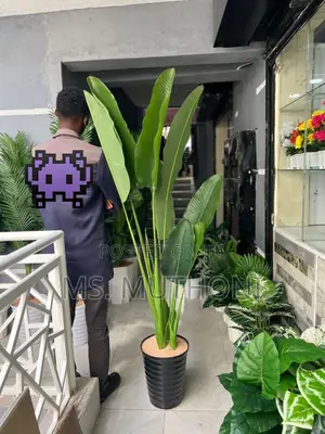 180 Cm Artificial Banana Plant With Decorative Plastic Vase Pebbles