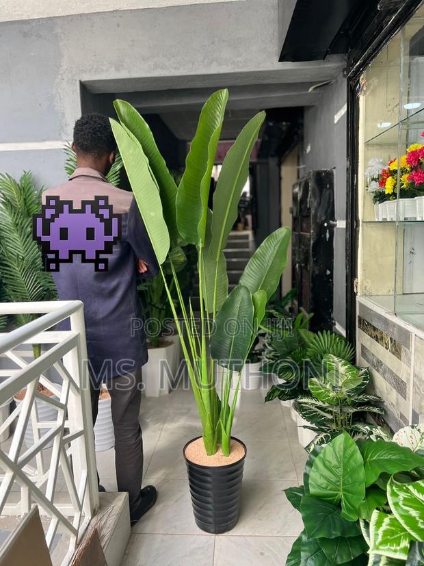 180 Cm Artificial Banana Plant With Decorative Plastic Vase Pebbles - thumbnail 3