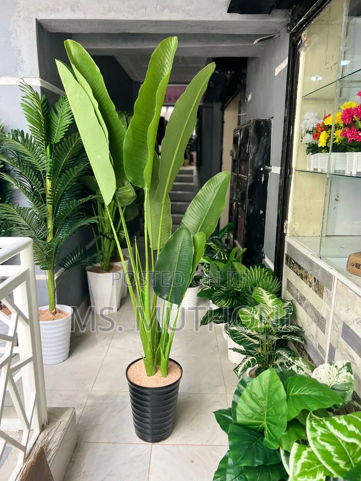 180 Cm Artificial Banana Plant With Decorative Plastic Vase Pebbles