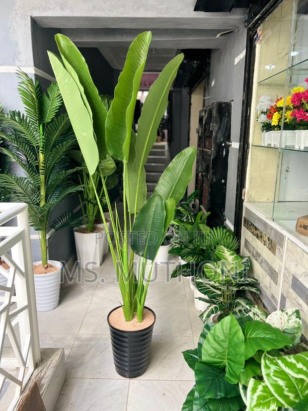 180 Cm Artificial Banana Plant With Decorative Plastic Vase Pebbles