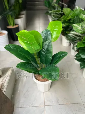 1metre Big Artificial Plant + Pebbles + Plus Vase