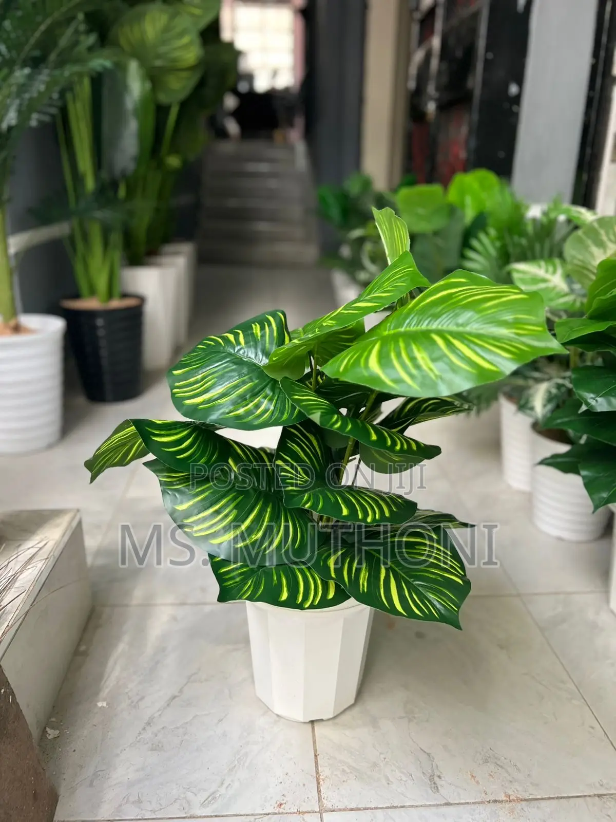 1metre Big Artificial Plant + Pebbles + Plus Vase