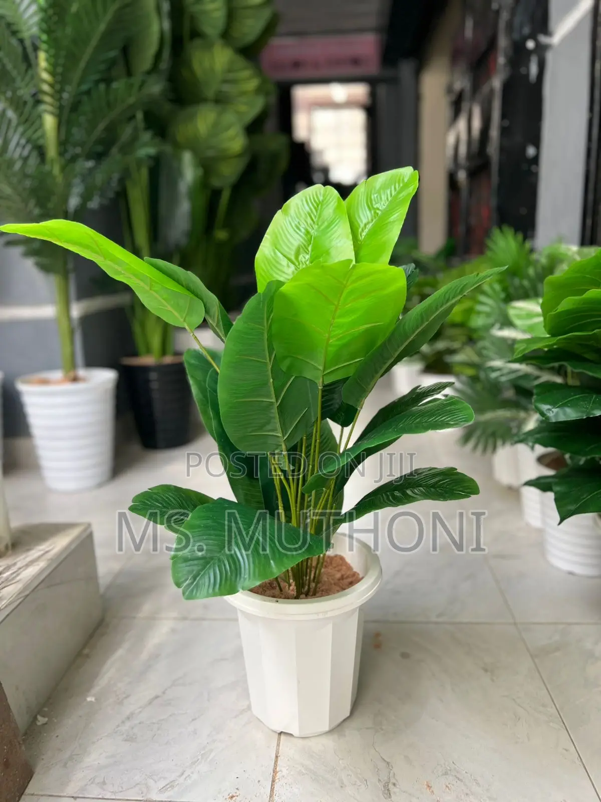 1metre Big Artificial Plant + Pebbles + Plus Vase