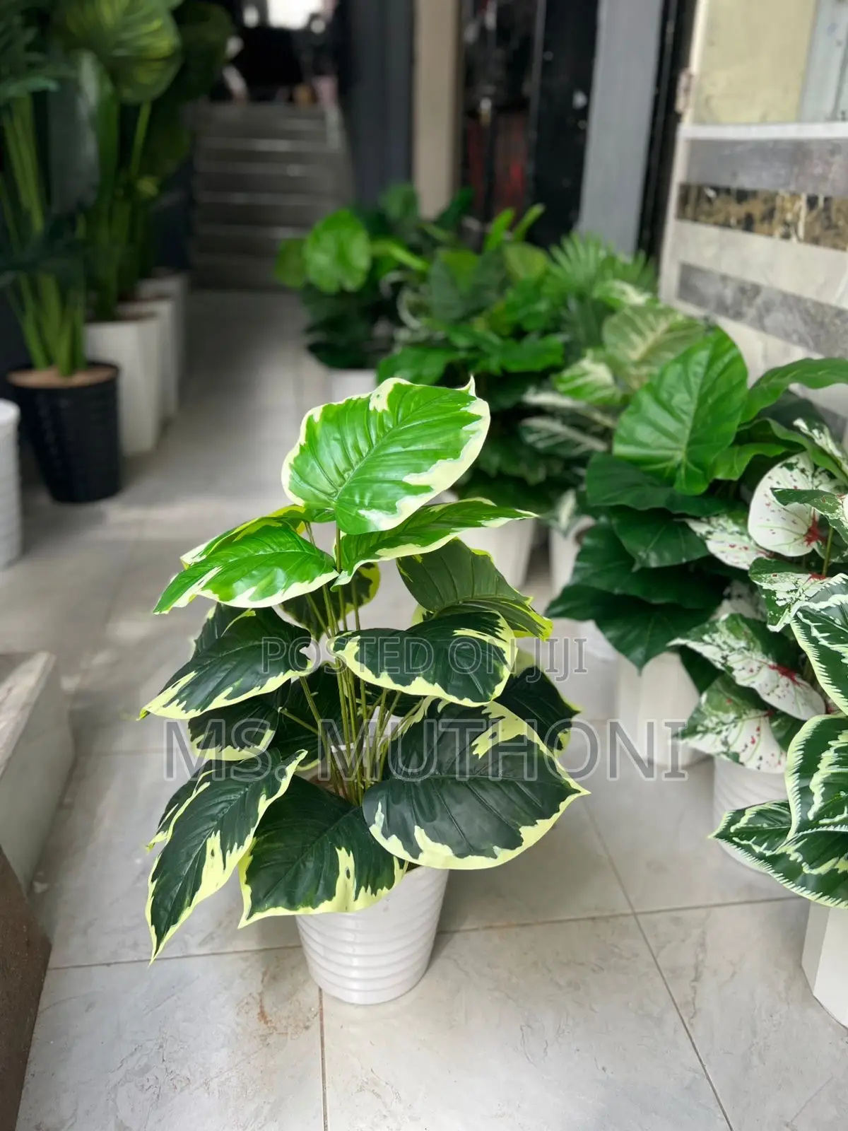 1metre Big Artificial Plant + Pebbles + Plus Vase