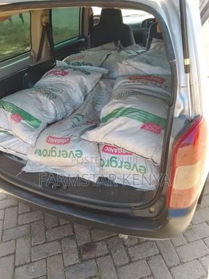 Evergrow Organic Fertilizer --10kg - main view