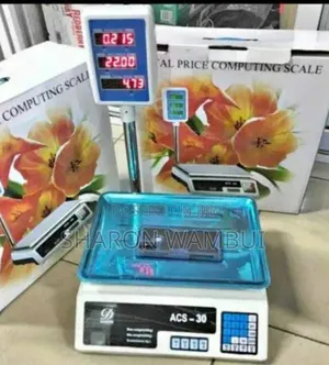 Acs 30kg Digital Computing Scale/Acs 30kg Digital Computing Scale