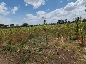 50 X 100 Plots in Ngata Verovian for Sale