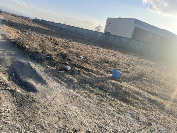 Commercial Plot - main view