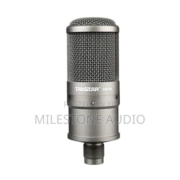 Takstar Sm-8b | Recording Microphone - main view