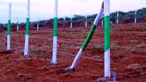 Prime Plot for Sale in Kikuyu Constituency , Nachu Ward , Mikuyuini - main view