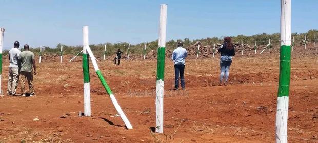 Prime Plot for Sale in Kikuyu Constituency , Nachu Ward , Mikuyuini - thumbnail 2