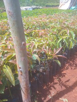 Agricultural Products - main view