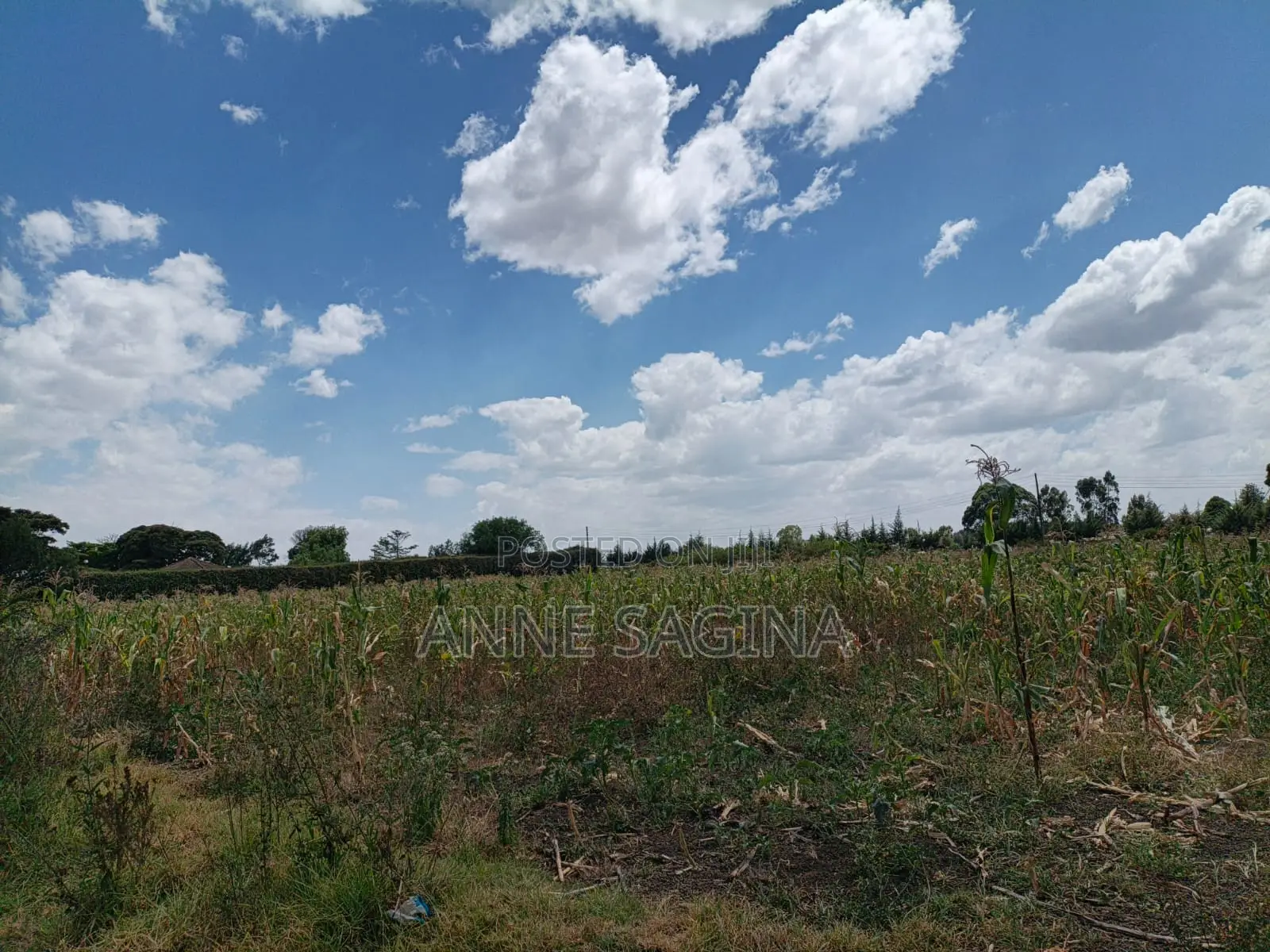 50 X 100 Plots in Ngata Verovian for Sale