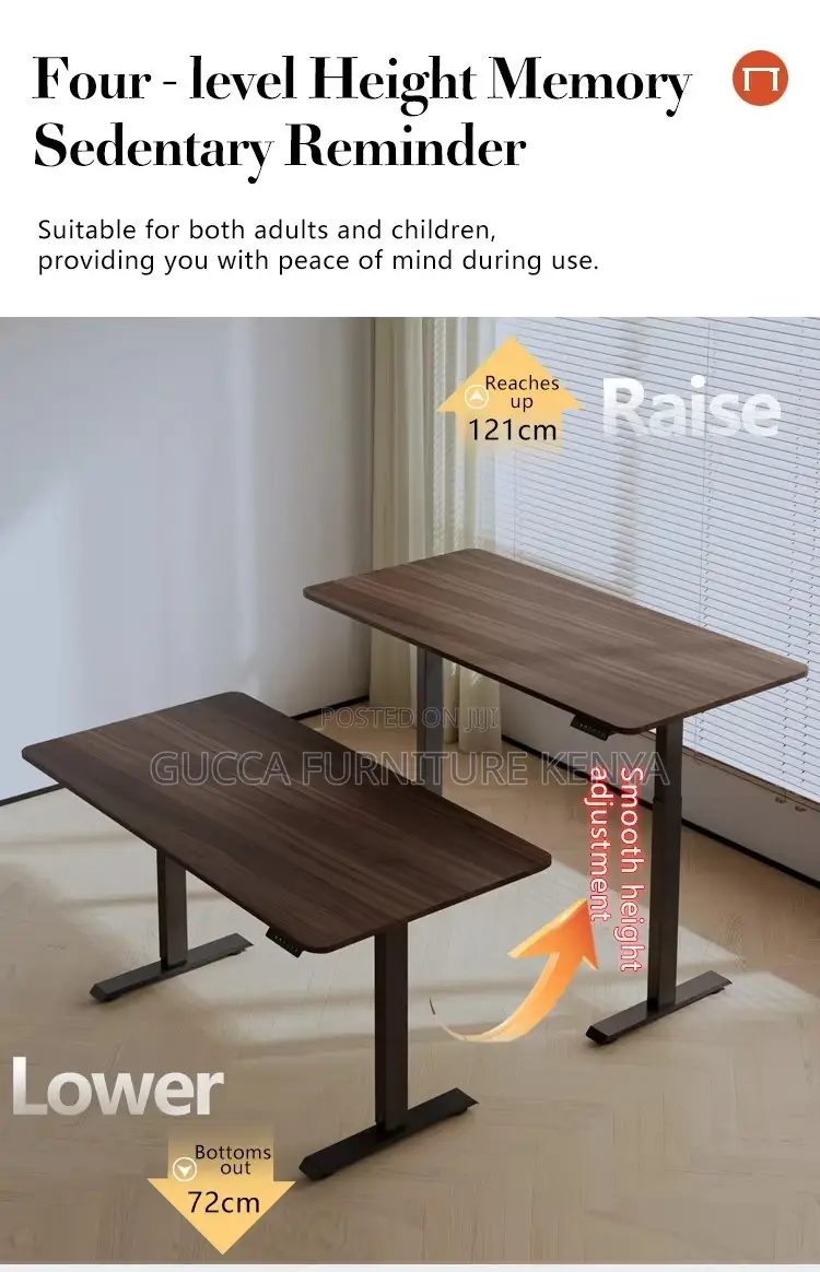 Modern Height Adjustable Electric Study Desk