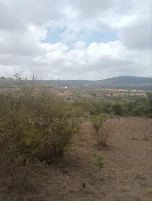 Mua Hills 5acres Land for Sale.