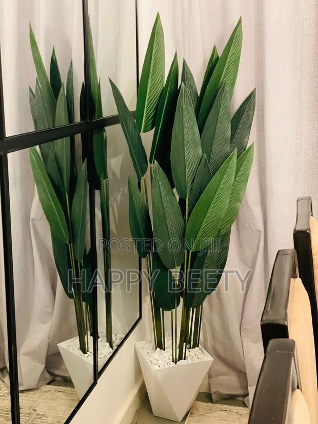 Artificial Decor Plants for Home Decor/Office /Restaurant Etc - main view