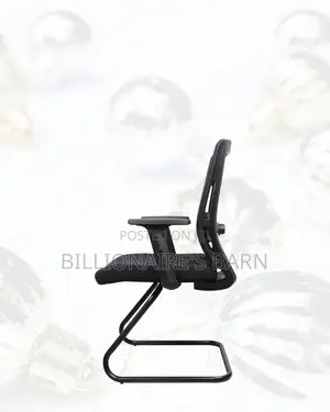 Barn Origin Ergonomic Chair — Easy Adjustments, Supportive Backrest
