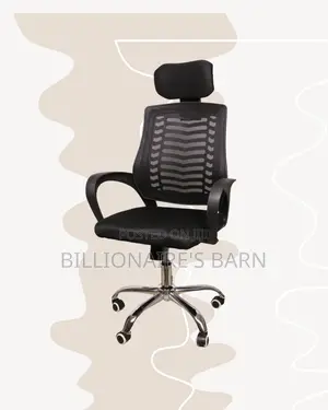 Ergonomic Mesh Chair | Workday Comfort, Lumbar Support Built-In