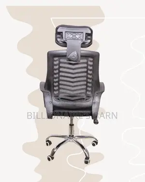 Ergonomic Mesh Chair | Workday Comfort, Lumbar Support Built-In