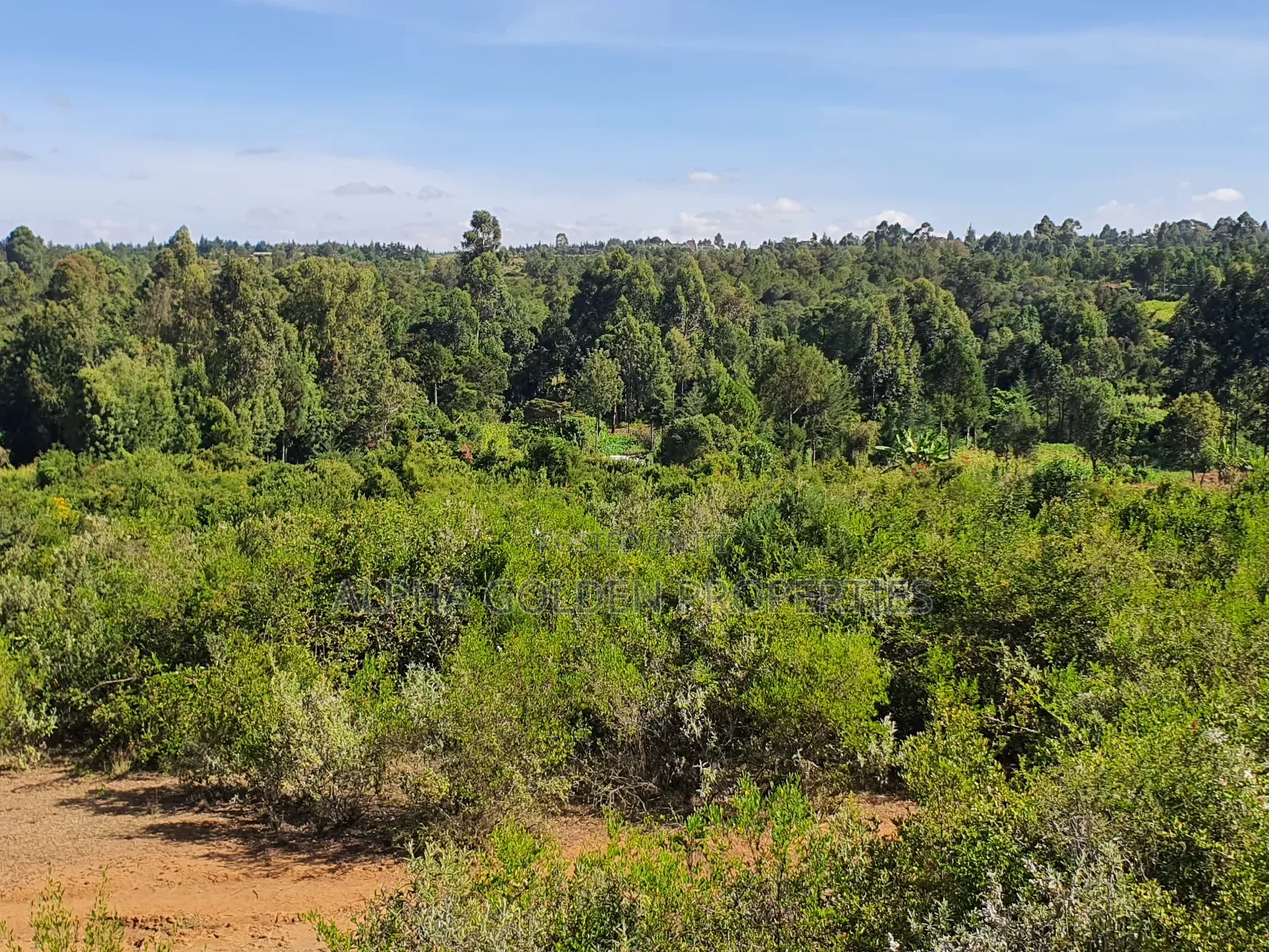 Nanyuki 11 Acres Near Mt Kenya