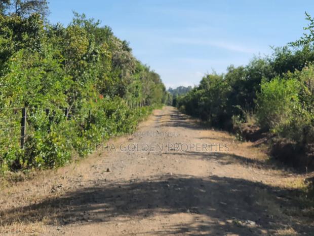 Nanyuki 11 Acres Near Mt Kenya - thumbnail 5