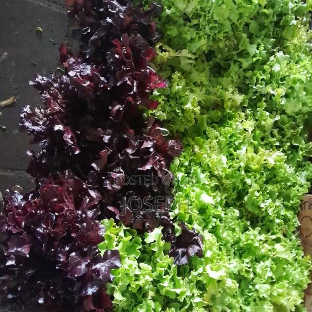 Soft Leather - main view