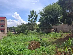 Kiahuria Tora Off Bob Harris Road Prime 1/4 Acre