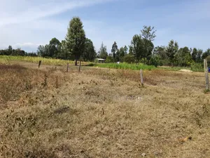 Half Acre in Gakawa
