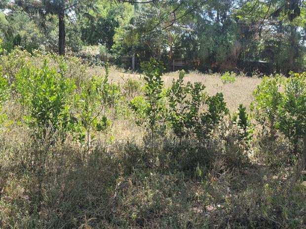 Mukima 2 Acres on Sale