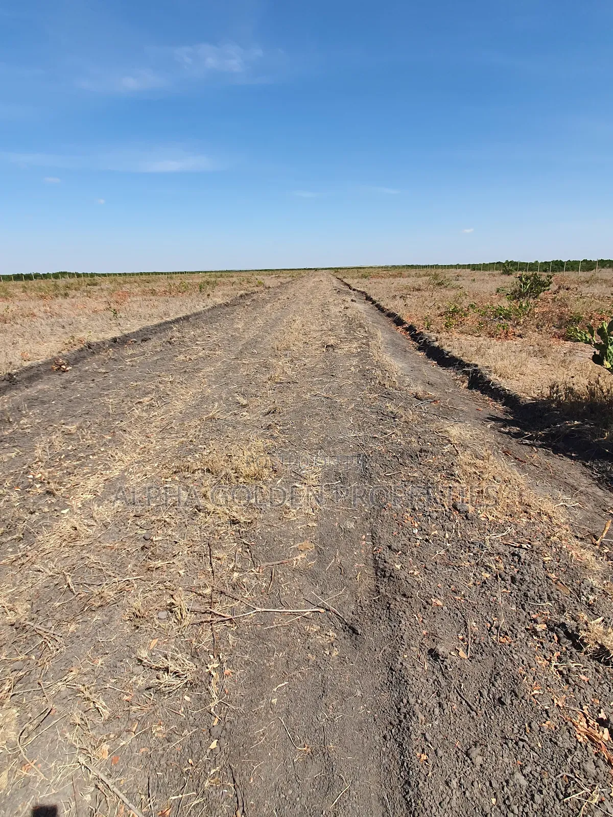Plots for Sale in Kariunga