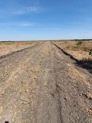 Plots for Sale in Kariunga