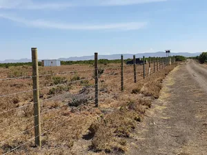 Plots for Sale in Kariunga