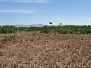 Plots for Sale in Kariunga