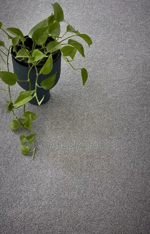 Delta Carpet Installation | Soft Flooring Solution