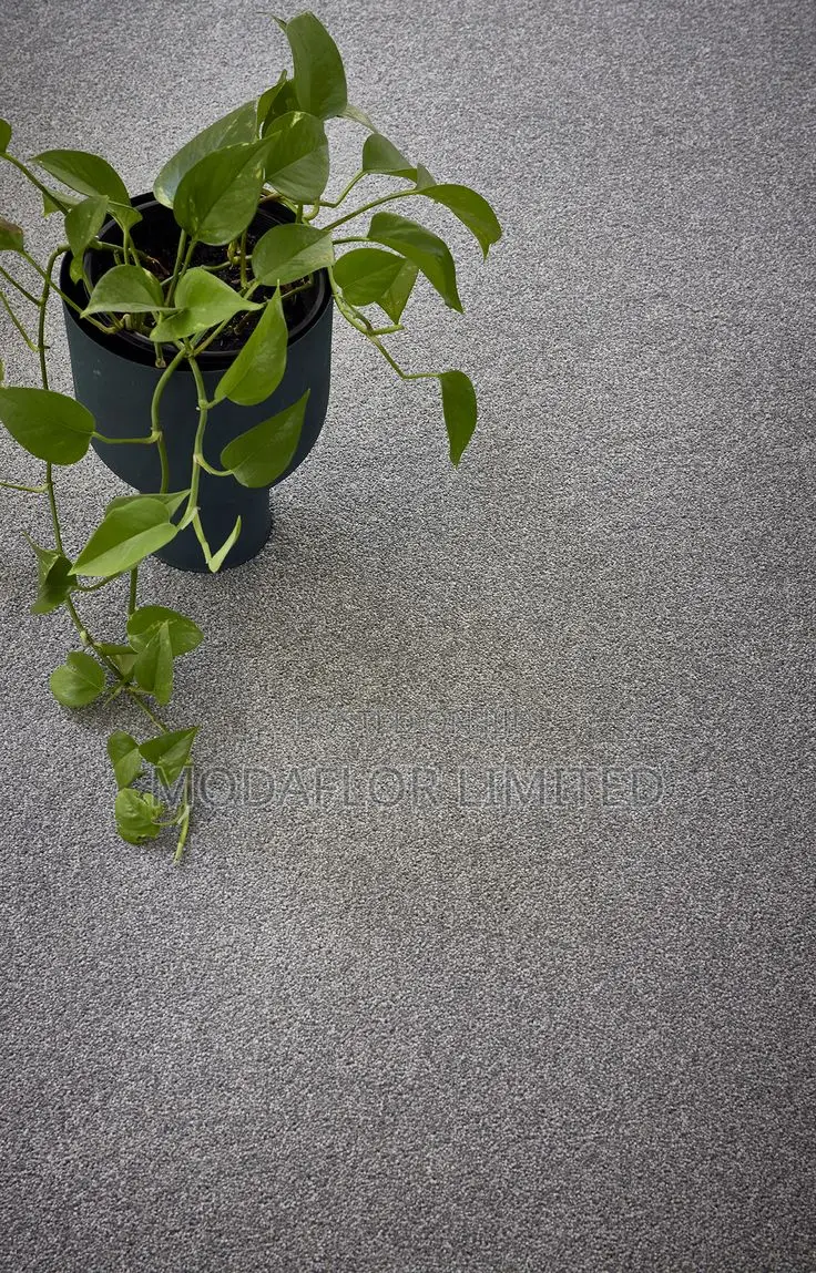 Delta Carpet Installation | Soft Flooring Solution